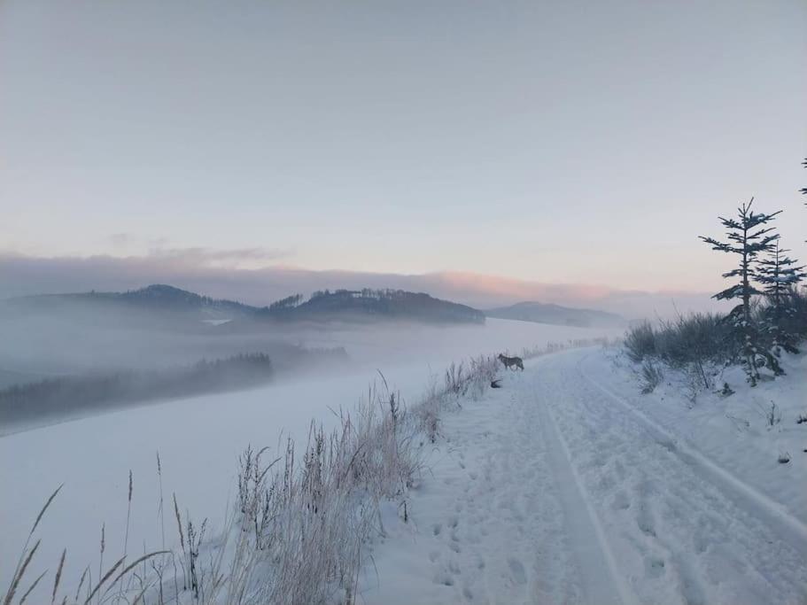 Haus Julia Direkt Am Hennesee Mitten Im Sauerland Мешеде Экстерьер фото